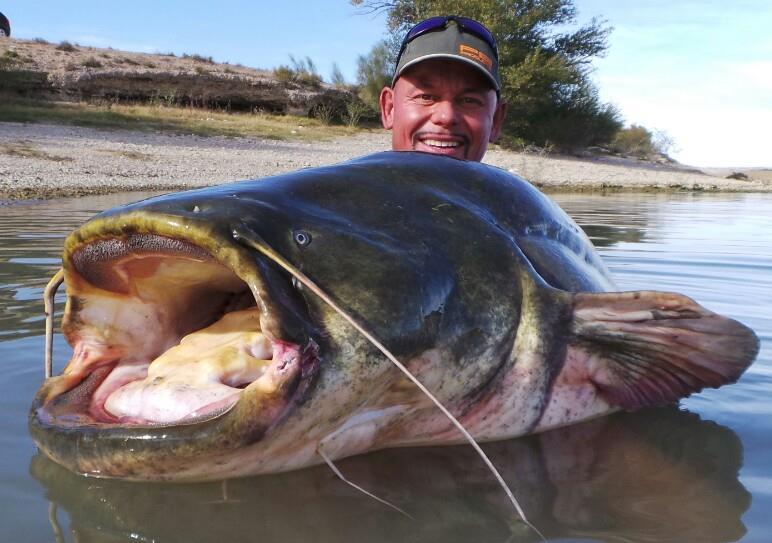 Ardy Veltkamp - 13856854522085082184431446483641n.jpg